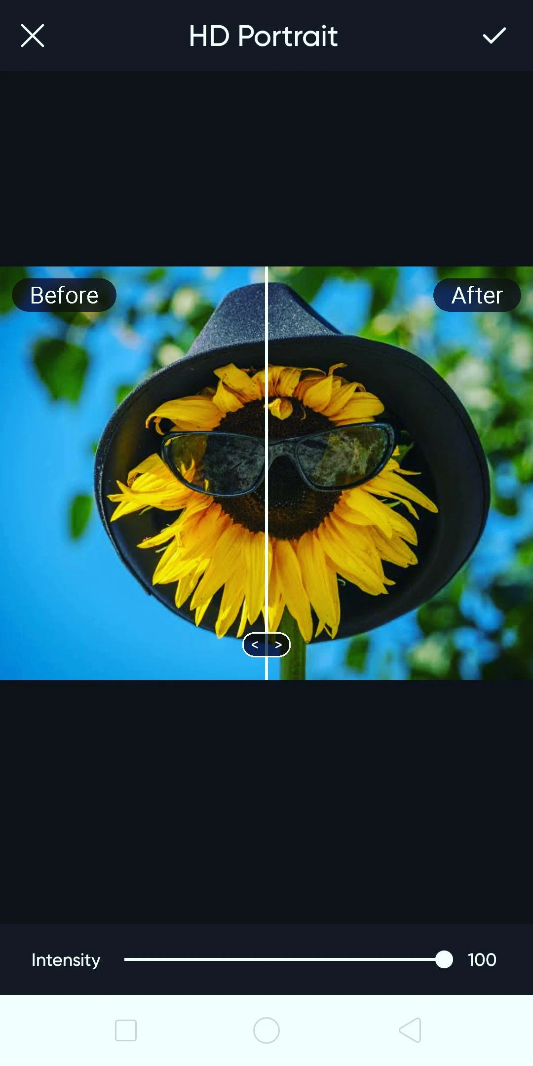 Retouching tool of the Gold app 